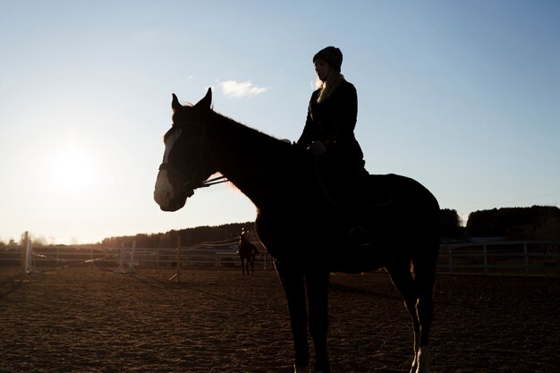 Silhouette élégante de cheval contre le ciel d'aube