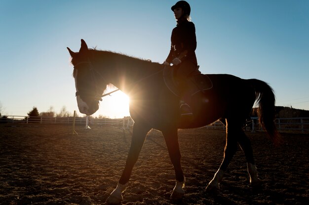 Silhouette élégante de cheval contre le ciel d'aube