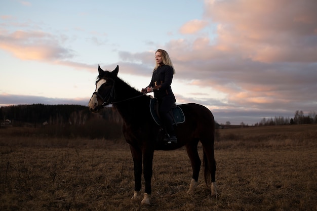 Photo gratuite silhouette élégante de cheval contre le ciel d'aube