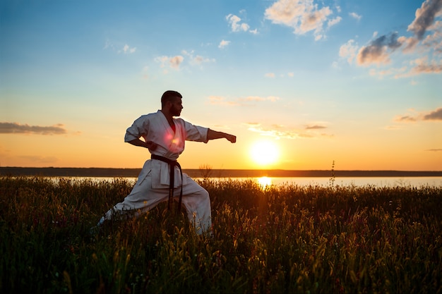 Silhouette d'homme sportif, formation de karaté dans le champ au lever du soleil.