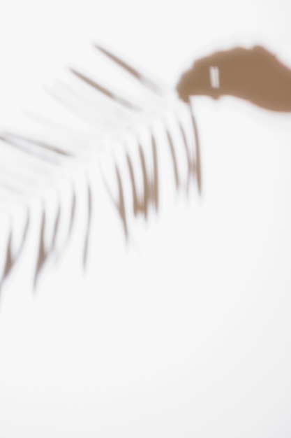 Silhouette de la main d&#39;une personne tenant une feuille de palmier isolée sur fond blanc