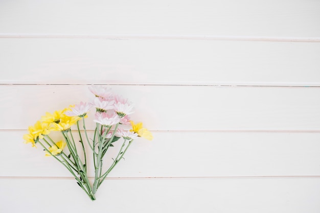 Photo gratuite simple bouquet de marguerites sur blanc