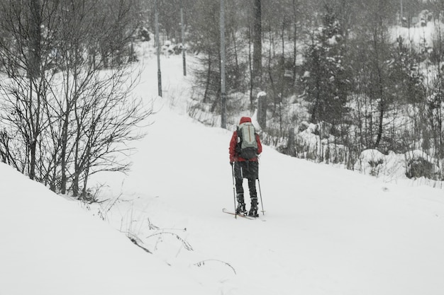 Ski touristique dans la forêt