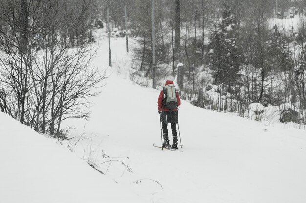 Ski touristique dans la forêt