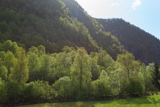 Photo gratuite skjolden norvège 16 mai 2023 les arbres