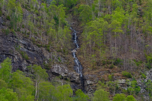 Photo gratuite skjolden en norvège le 16 mai 2023 cascade