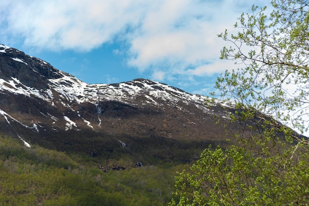 Skjolden Norvège 16 mai 2023 Montagne