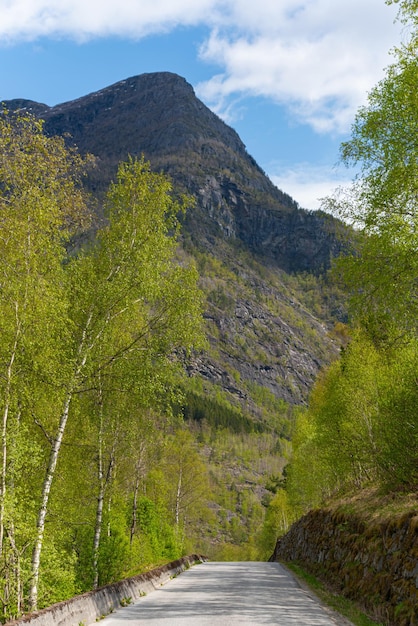 Photo gratuite skjolden norvège 16 mai 2023 montagne