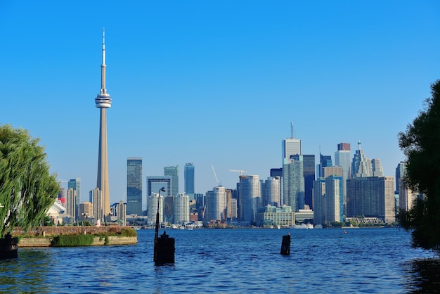 Photo gratuite skyline de toronto depuis le parc