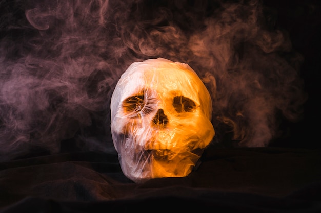 Photo gratuite smoky skull emballé dans un sac en plastique