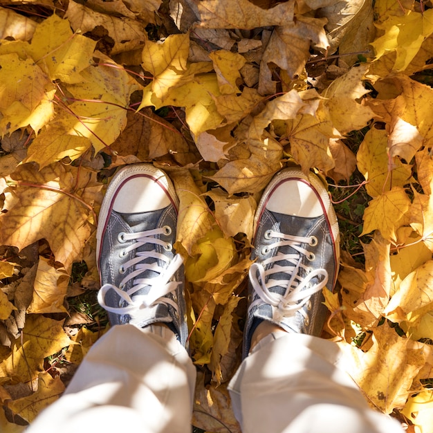 Sneakers gros plan sur fond de feuilles