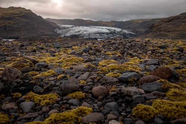 Sol couvert de pierres et de mousse au glacier Solheimajokull, en Islande
