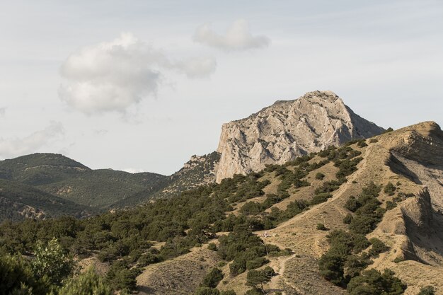 Sommet d'une montagne et végétation