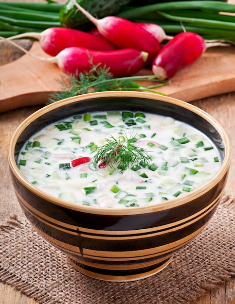 Photo gratuite soupe froide de kéfir de légumes aux œufs et aux légumes verts