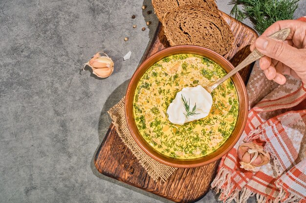 Soupe de poulet aux légumes et champignons, vue de dessus, gros plan. Servi avec pain noir, crème sure et ail. Un déjeuner d'hiver sain et chaud. Mise en page sur fond gris