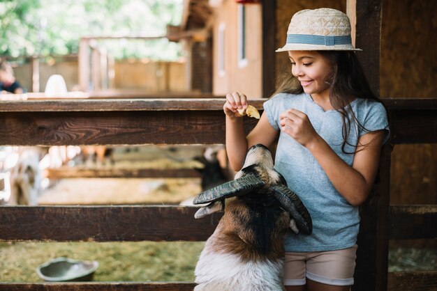 Souriant fille debout dans une grange nourrir des moutons