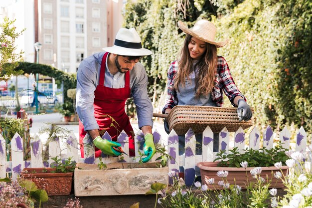 Souriante jeune jardinière femme tenant un panier en regardant son petit ami tailler la plante avec un sécateur