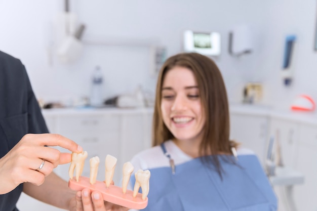 Souriante patiente regardant différents modèles de dents