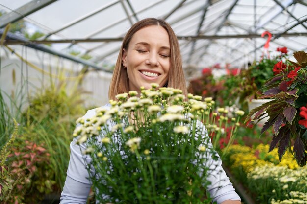 Sourire heureux fleuriste dans sa pépinière debout tenant des chrysanthèmes en pot dans ses mains alors qu'elle s'occupe des plantes de jardin dans la serre