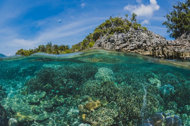 Photo gratuite sous la surface d'une île