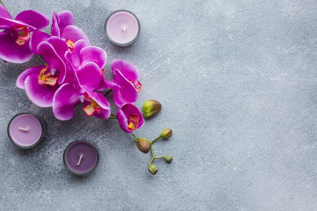 Spa nature morte avec des produits de beauté