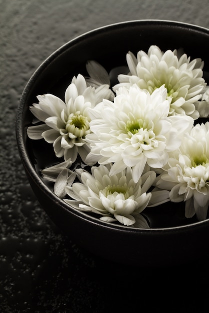 Spa Relax Concept. Belle fleurs de spa blanc dans le bol dans l&#39;eau. Fond sombre.