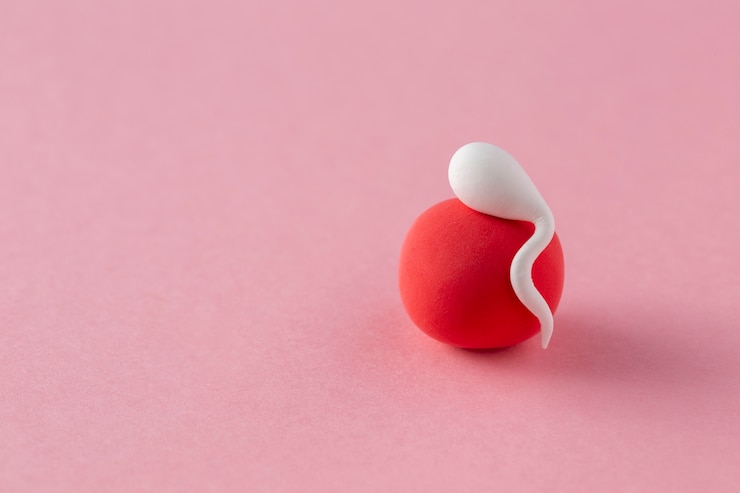 Photo gratuit spermatozoïdes sur le concept de fertilité d'ovule