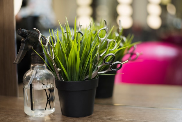 Spray de coiffure avec plante