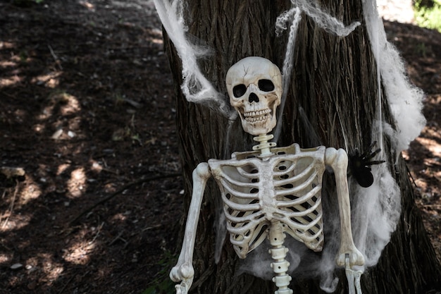 Photo gratuite squelette s'appuyant sur un arbre avec une fausse toile d'araignée
