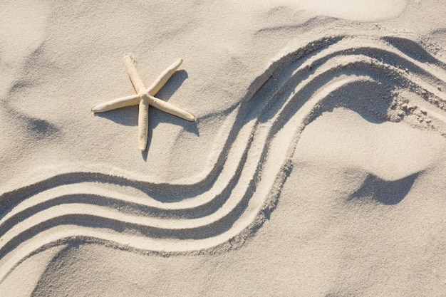 Photo gratuite starfish et motif zen sur le sable