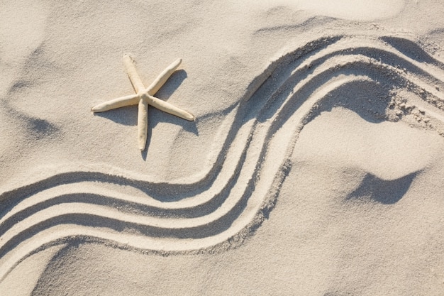 Starfish et motif zen sur le sable