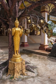 Une statue de bouddha en or sous l'arbre à souhaits avec des feuilles d'or au temple bouddhiste tiger cave dans la province de krabi en thaïlande. c'est une tradition bouddhiste d'écrire des vœux sur des feuilles de métal.