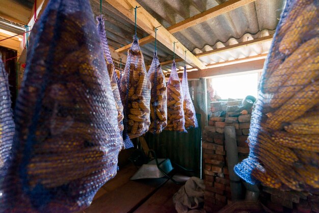 Stockage avec du maïs dans des sacs en filet