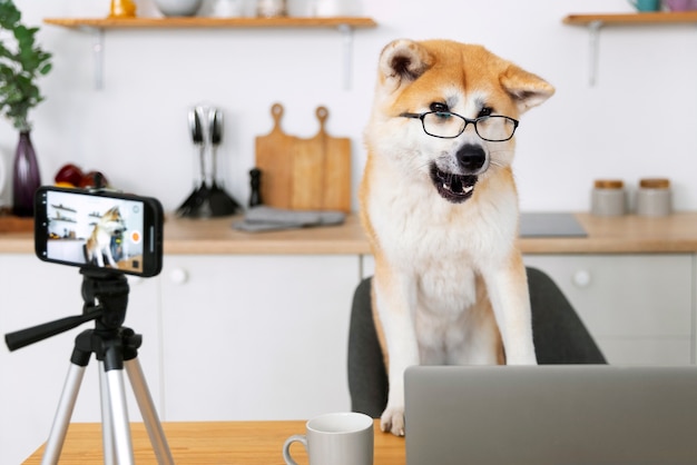 Photo gratuite style de vie de la personne créant du contenu avec son animal de compagnie