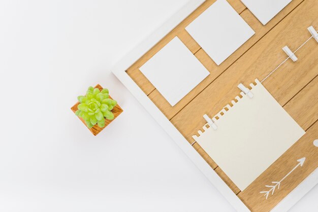 Photo gratuite succulent près de la planche avec des feuilles de papier