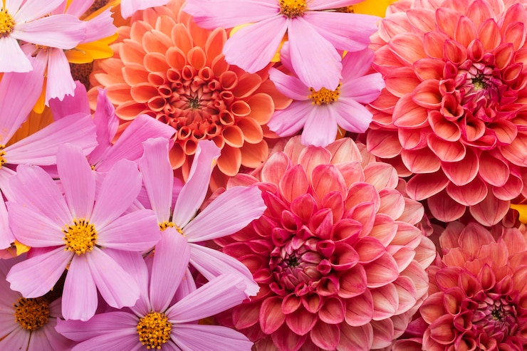 Photo gratuit superbe arrangement de papier peint de fleurs