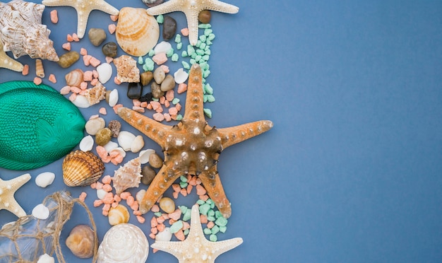 Surface bleue avec des étoiles de mer et des coquillages