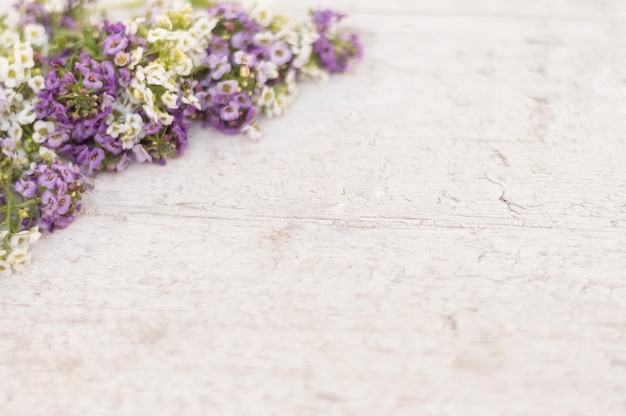 Photo gratuite surface avec des fleurs pourpres et blanches