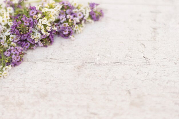 Surface avec des fleurs pourpres et blanches