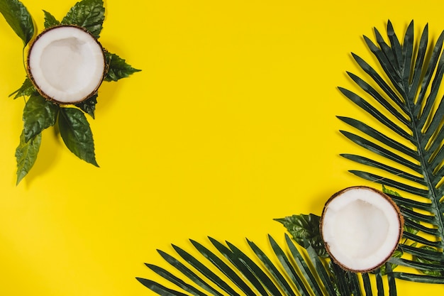 Surface jaune avec noix de coco et feuilles de palmier