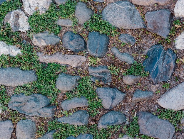 Surface en pierre avec herbe