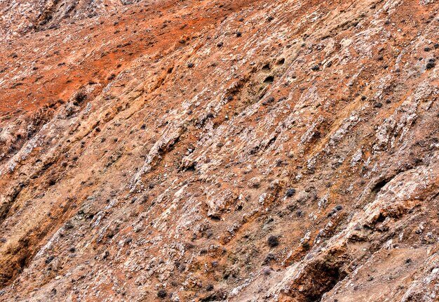 Surface rocheuse rouge avec beaucoup de buissons - idéal pour un fond frais