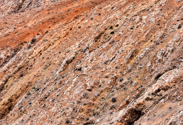 Surface rocheuse rouge avec beaucoup de buissons - idéal pour un fond frais