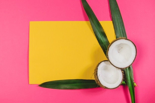 Photo gratuite surface rose avec du papier vierge et des noix de coco