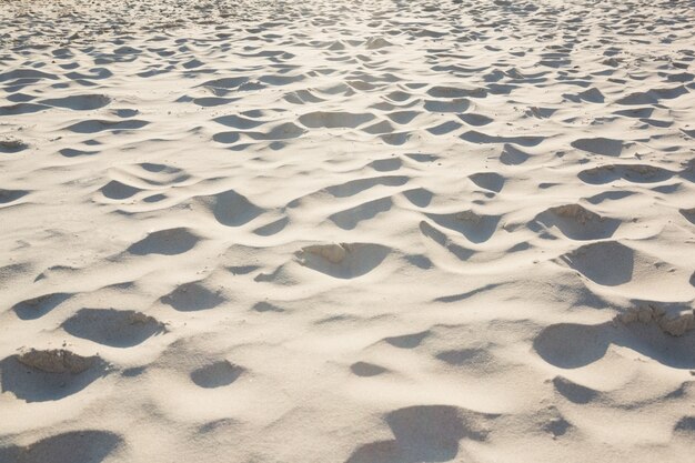 Surface de sable ondulée