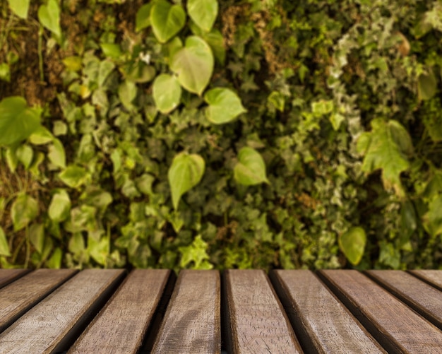 Surface de la table donnant sur les feuilles vertes