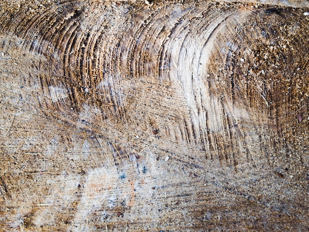 Surface de texture en bois brut
