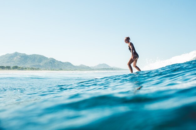 surfeur dans l'océan