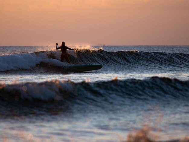Surfeur sur la vague