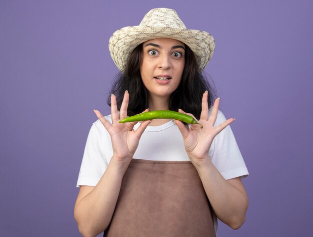 Surpris jeune femme brune jardinière en uniforme portant chapeau de jardinage détient piment isolé sur mur violet avec espace copie